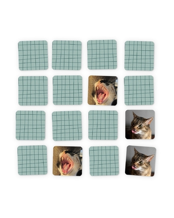 home-populaire-producten-1600x2000-2026-wk15-16-geheugenspel