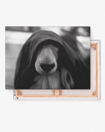home-populaire-producten-2-1600x2000-2026-wk4142-fotoopcanvas