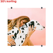 wanddeco-plexiglas-NL